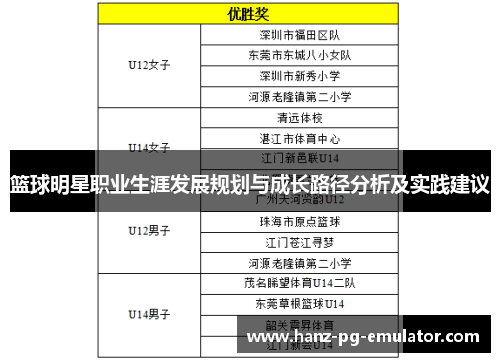 篮球明星职业生涯发展规划与成长路径分析及实践建议 篮球明星职业生涯发展规划与成长路径分析及实践建议